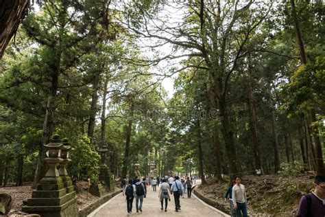 Nara park path