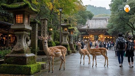 Nara temples deer