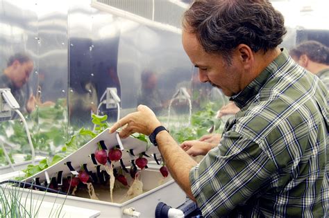 Nasa Houseplant Study: The Benefits Of Indoor Plants
