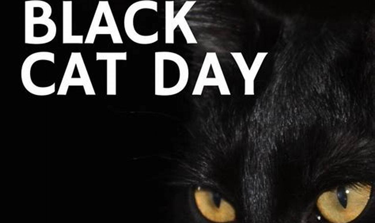 National Black Cat Day 2024