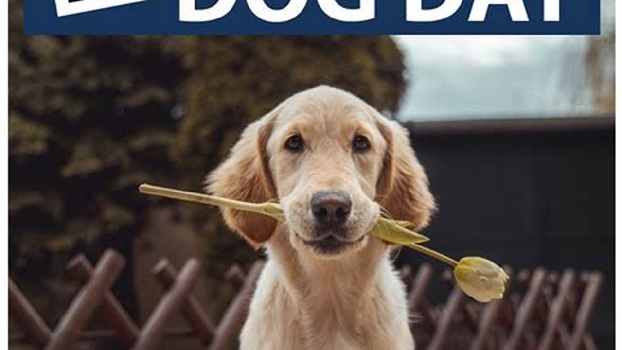 National Dog Day 2024 Freebies