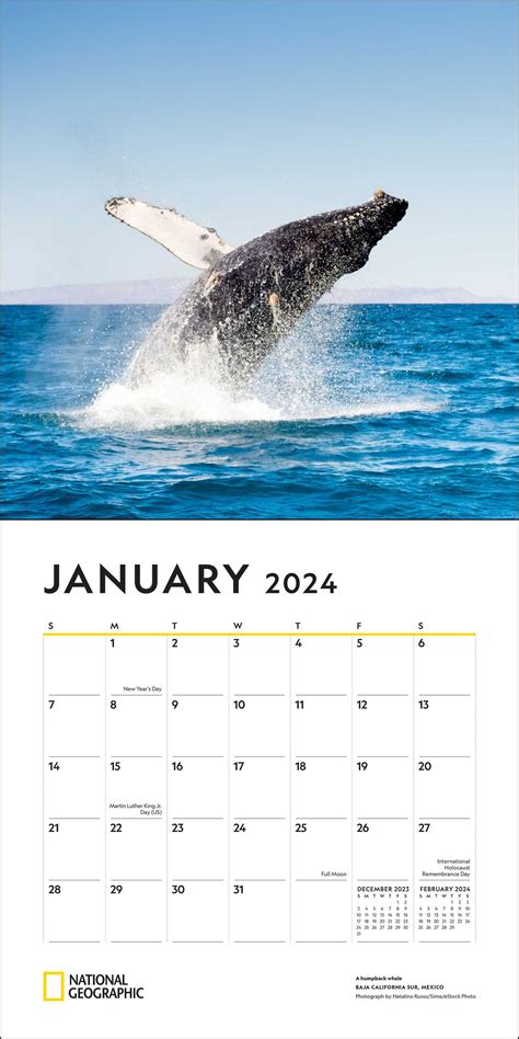 National Geographic Calendar 2024