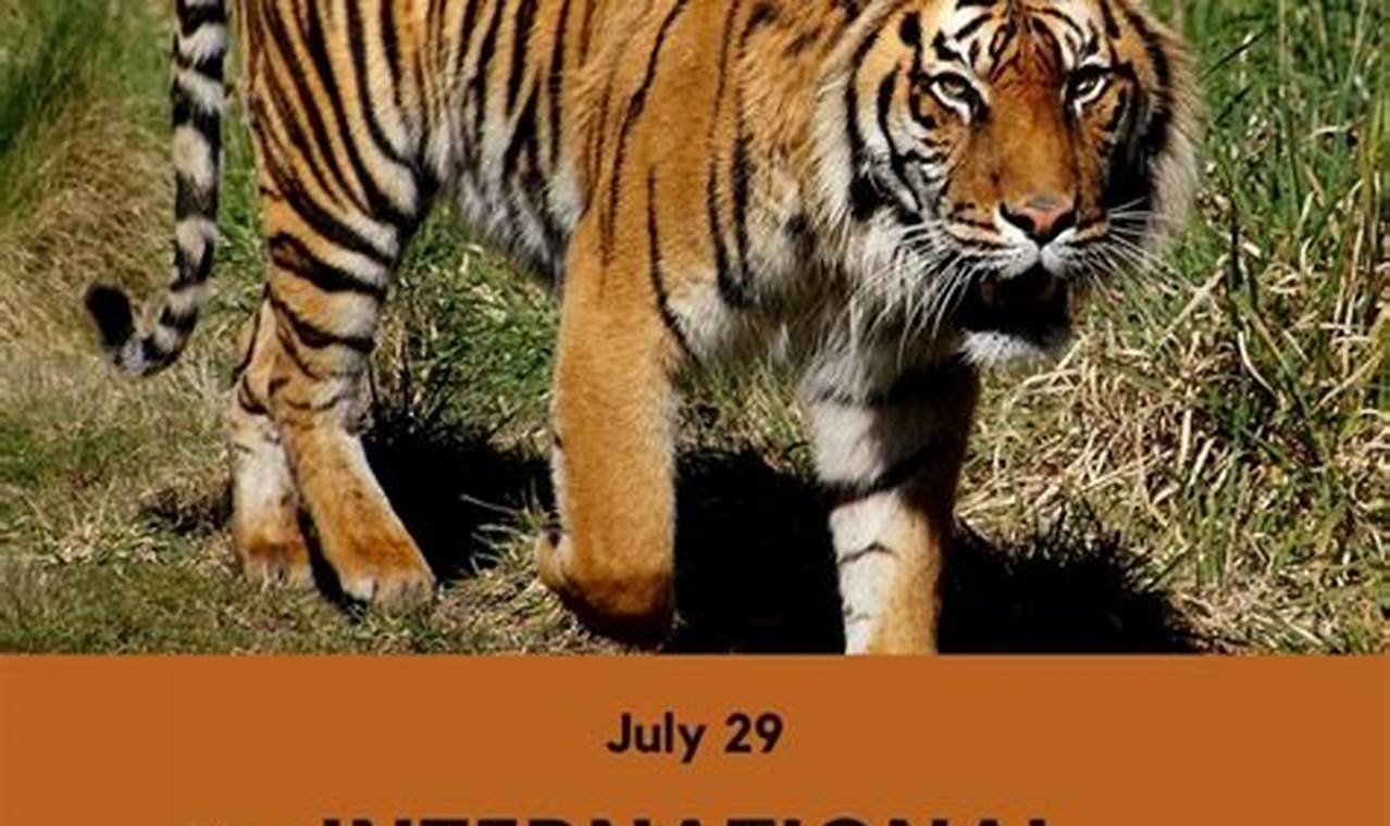 National Tiger Day 2024