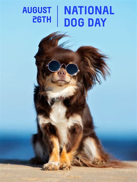 National Dog Day Meme