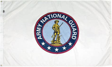 National Guard flag