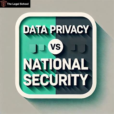 National Security and Data Privacy Fears