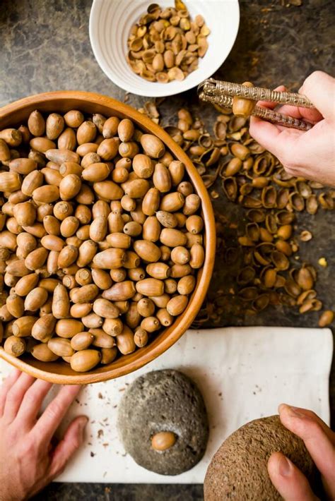Native American Nut Recipes: Acorns, Walnuts, and More
