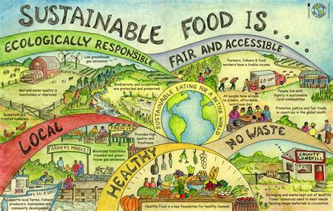 Native Foods Boulder Sustainability Efforts