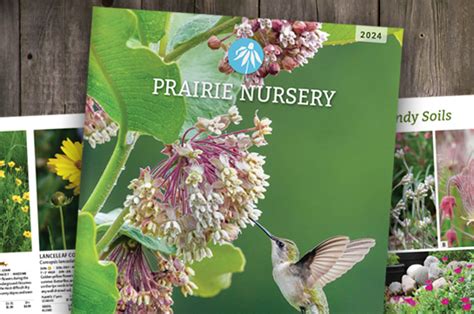 Native Plant Catalog