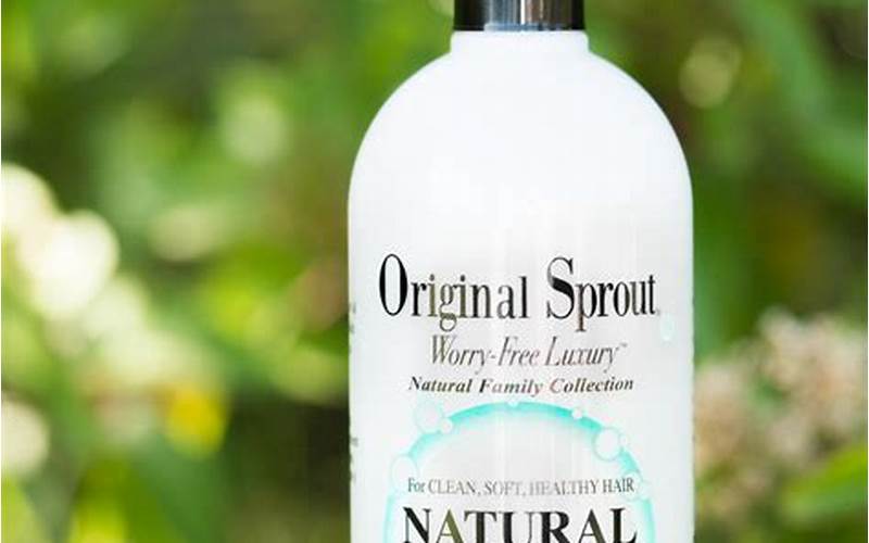 Natural Shampoos