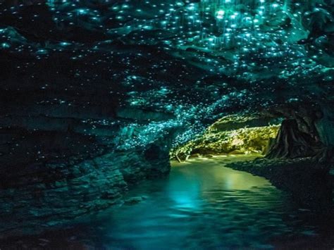 Natural Bridge Glow Worms