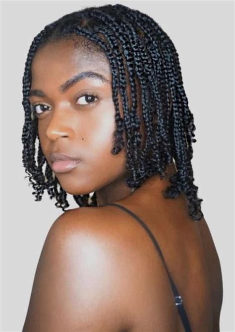 Natural Hair Styles With Braids