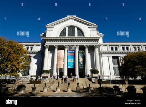 Natural History Museum Dc