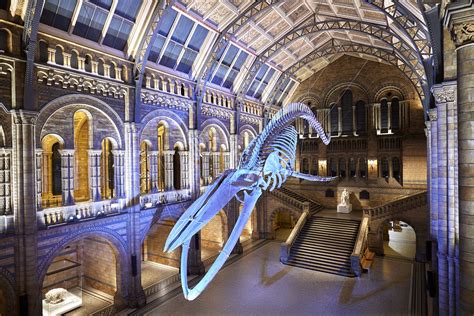 Natural History Museum Guide
