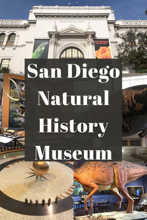 Natural History Museum Visitor Tips