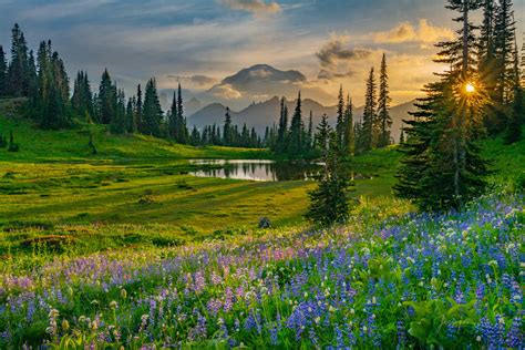Natural Landscapes