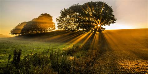Natural light photography