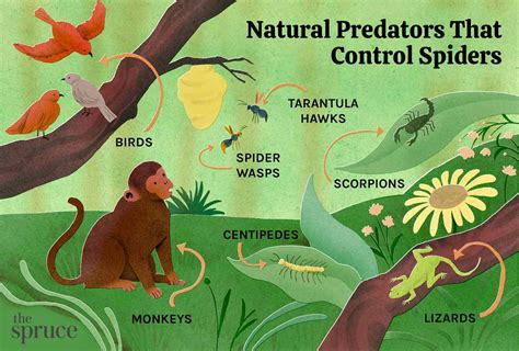 Natural Predators and Defenses