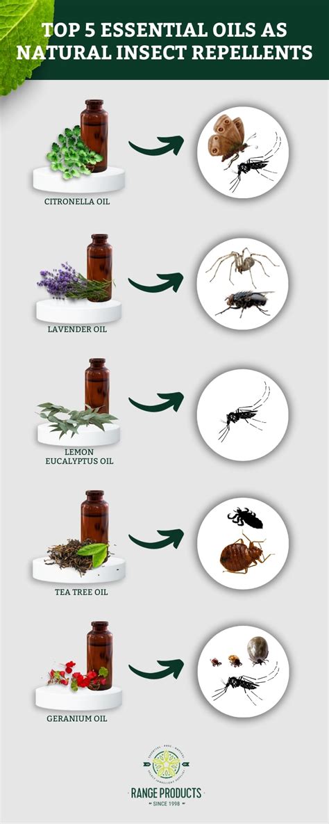 Natural Repellents That Work