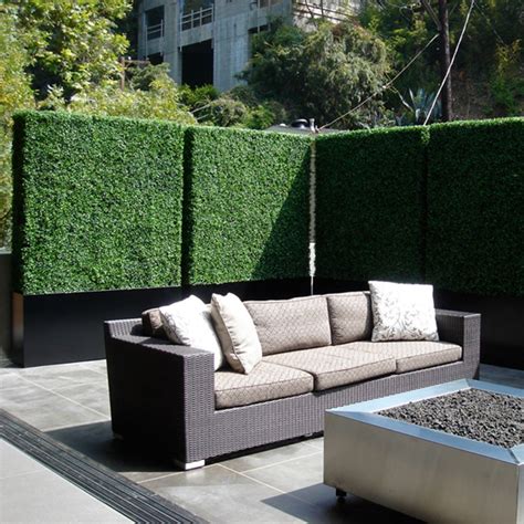 Natural Screens for Backyard Privacy