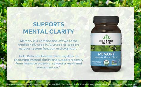 Natural Supplements for Memory Enhancement Herbal supplements for memory
