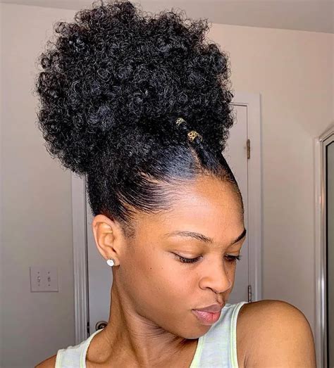 Natural Updos and Puffs
