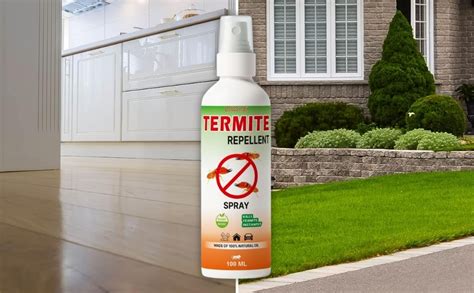 Natural and Eco-Friendly Termite Control