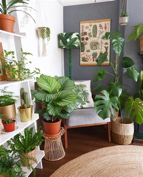 Natural decor with plants