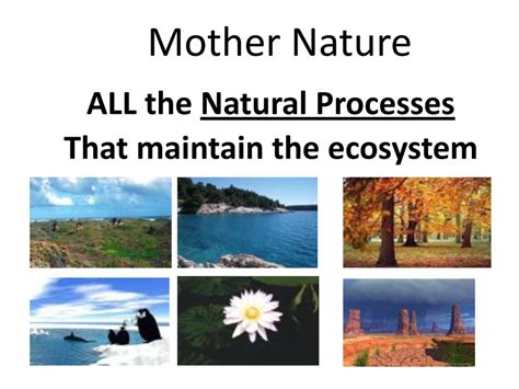 Natural processes