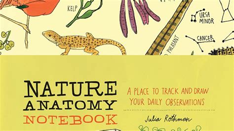 Nature Anatomy Notebook A Place to Track and Draw Your Daily