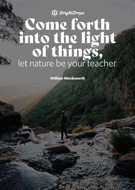 Nature Inspiration