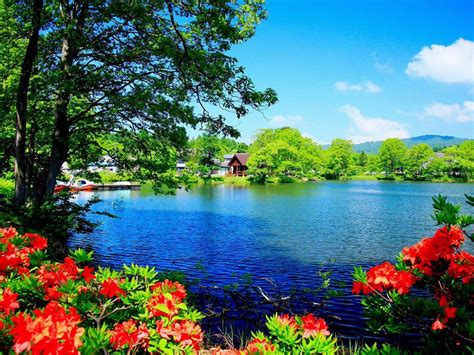 Nature and Scenic Views