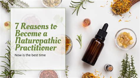 Naturopaths and Holistic Practitioners
