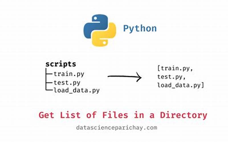 Navigate To The Directory Containing Your Python Script