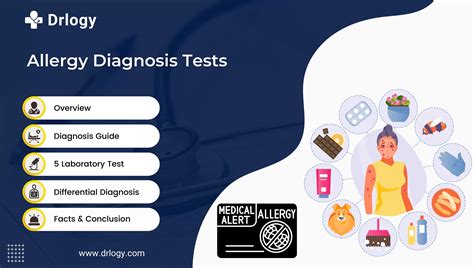 Navigating Allergy Testing and Diagnosis