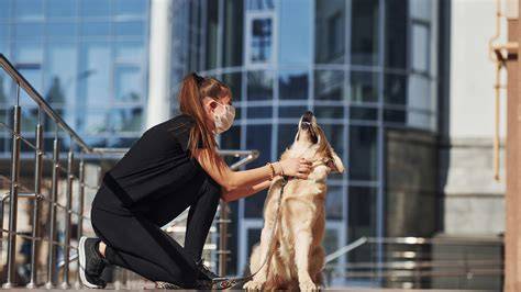 Navigating City Life with a Trained Dog