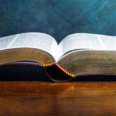 Navigating Complex Scriptural Passages with Free Catholic Commentary Resources