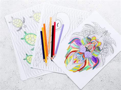 Navigating Free vs. Paid Coloring Pages Sites