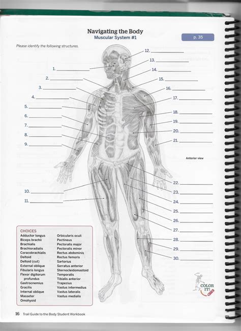 Navigating the Diagram Image