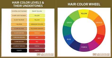Navigating the Hair Color Wheel: Undertones and Selection Tips