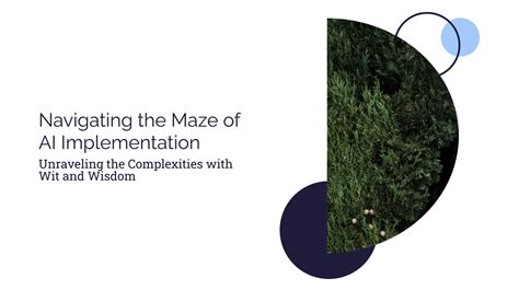 Navigating the Implementation Maze