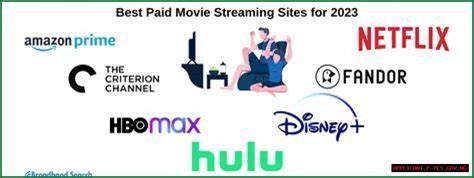 Navigating the Sea of Streaming Platforms