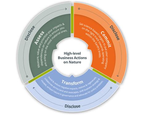 Navigating the Sunnybrook Handbook: Tips and Strategies