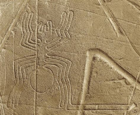 Nazca Figures