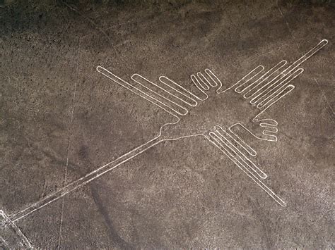 Nazca Lines drawing