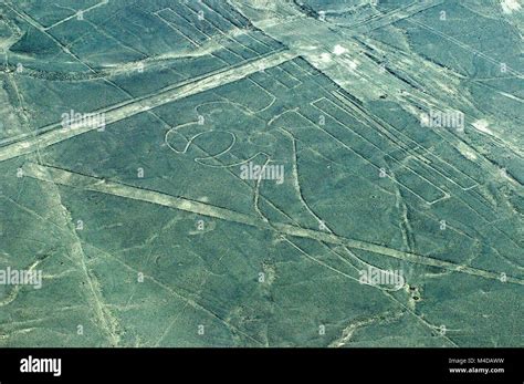 Nazca Lines Flight Review: Is the 30-Minute Tour Worth It?