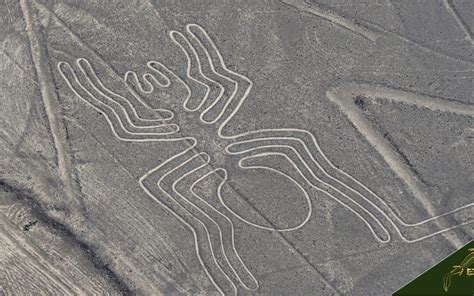 Nazca Tourist