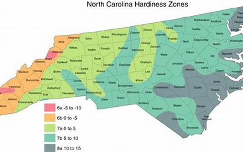 Nc Planting Zone Map