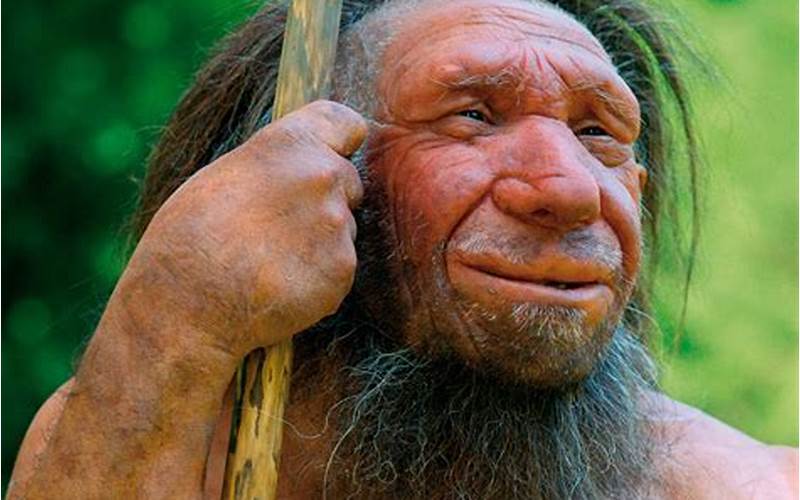 Neanderthal Opens the Door to the Universe