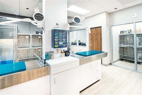 Near Me Veterinary Clinic